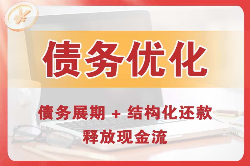 龙里债务优化