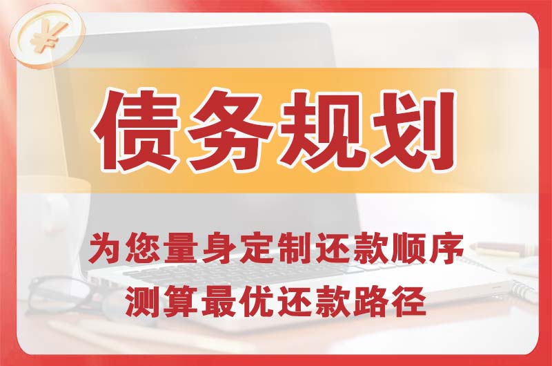 龙里债务规划